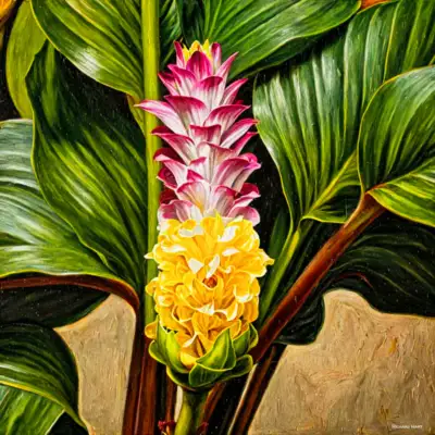 Hawaii Ginger 109 Richard Hart