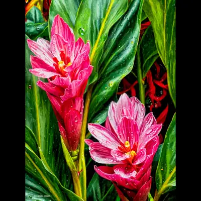 Rhizome Pink Giger 227