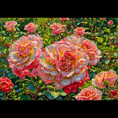 Pinkander1 Oil