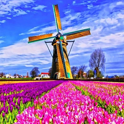 Windmill and Tulips with Purple