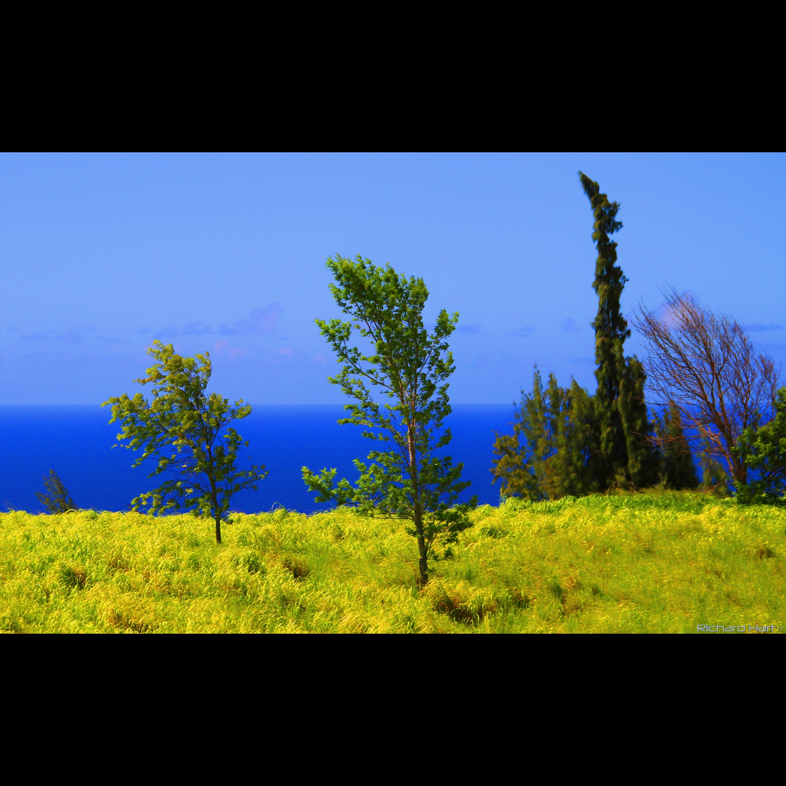 Highway near KoleKole Beach Park (2021)