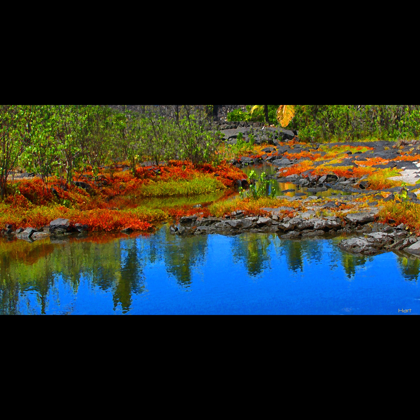 Honaunau Pond (2021)