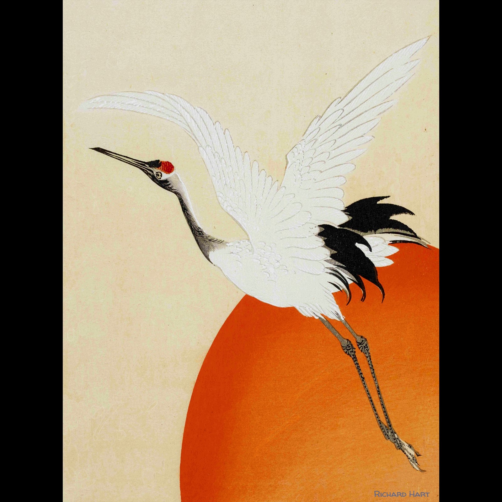 Crane in the sun (2024)