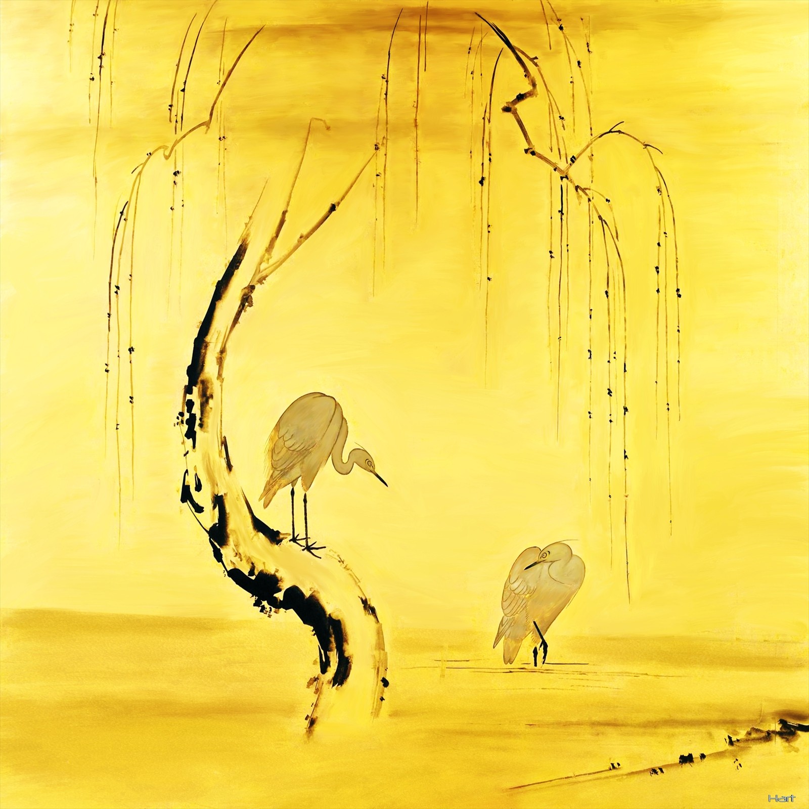 Egrets on the river (2025)