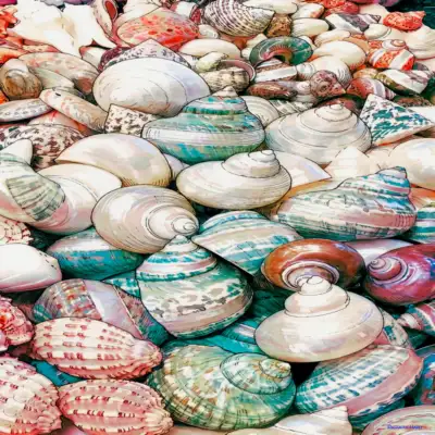 Colorful Collection 57
