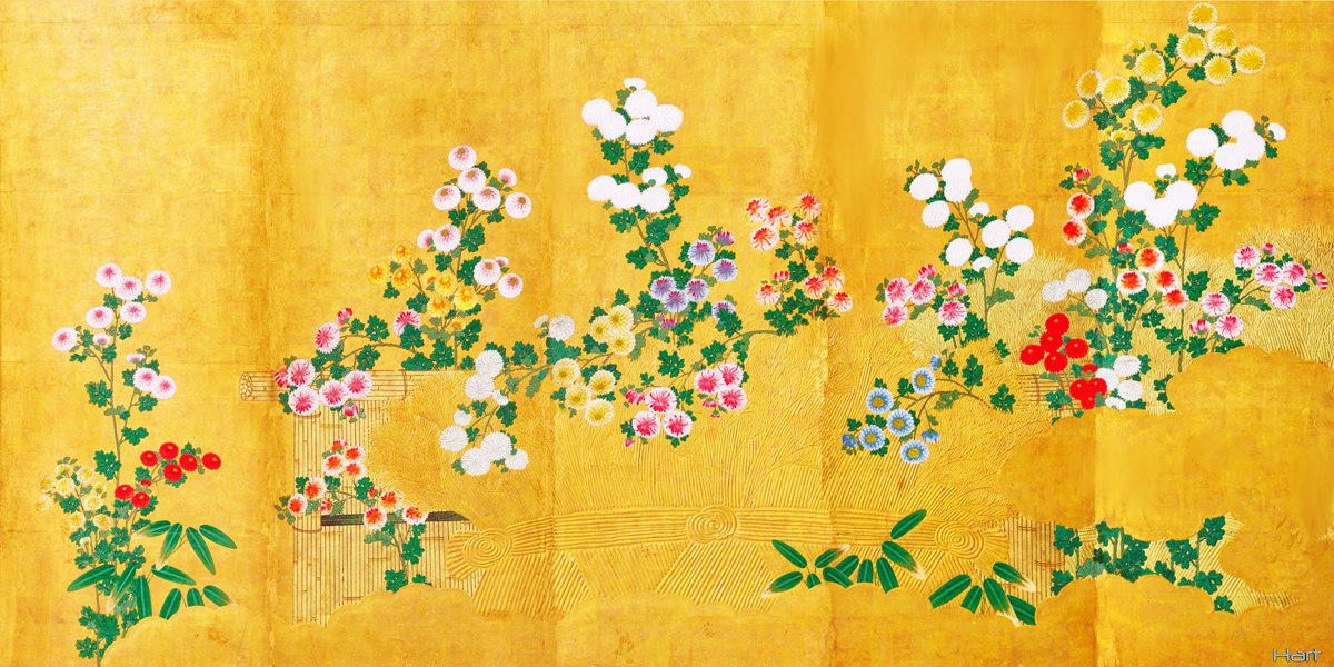 Chrysanthemums blooming in a Garden Richard Hart