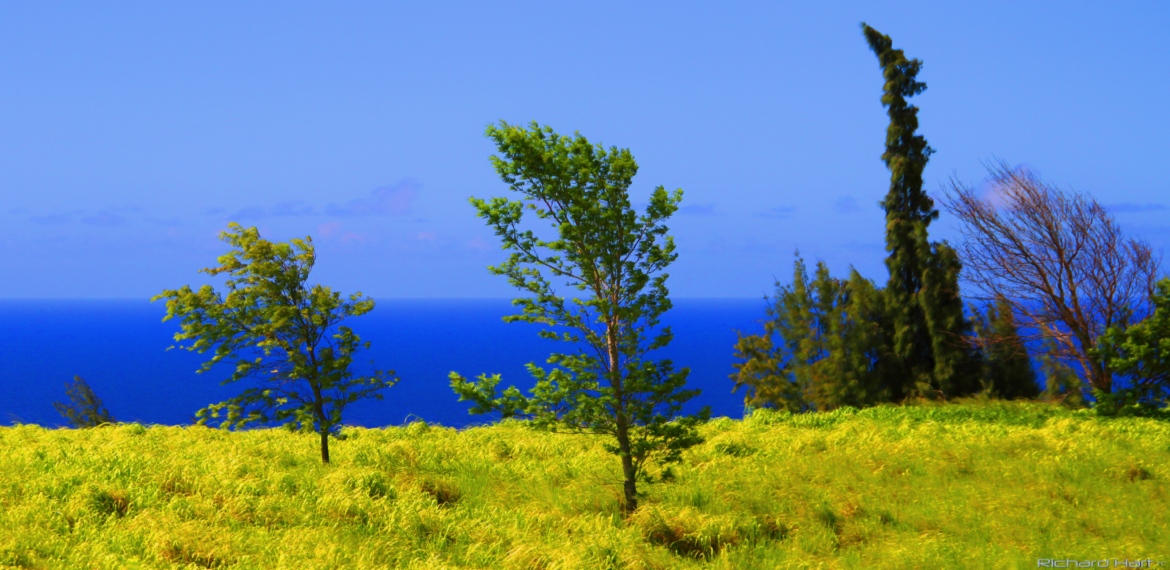 Highway near KoleKole Beach Park