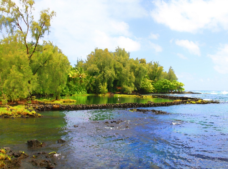 Kealoha Carlson Park Point 2