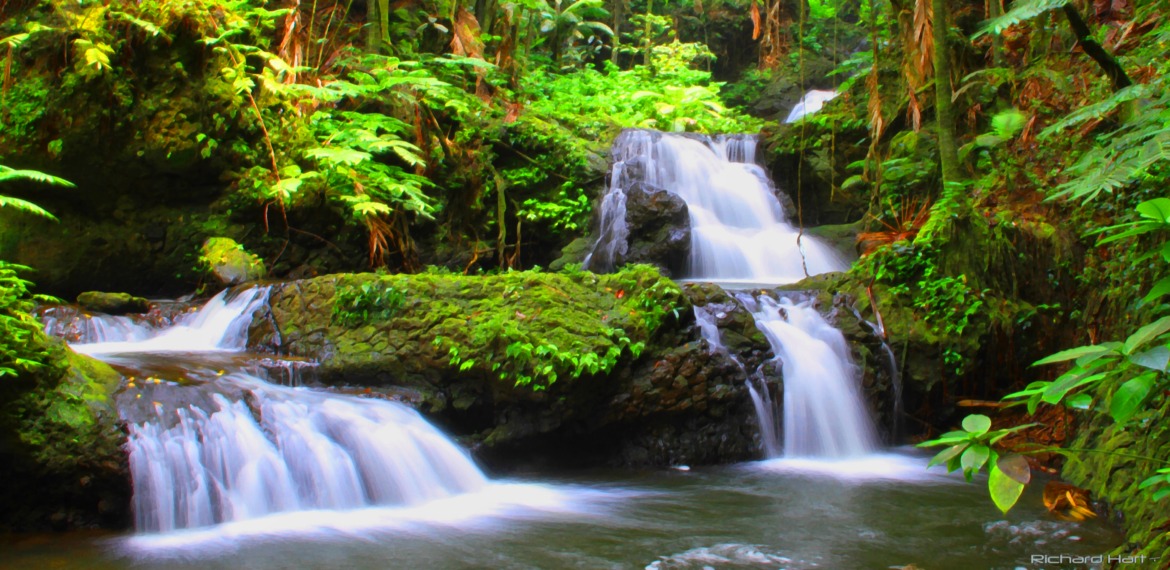 Onomea Bay Waterfall